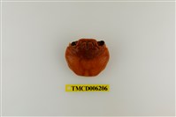 藏品(白紋方蟹)的圖片